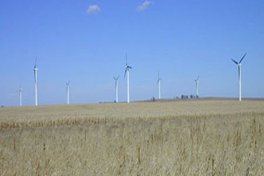 turbines in the landscape